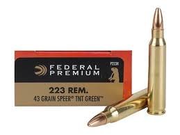 Varmint & Predator Speer TNT Green 223 Remington