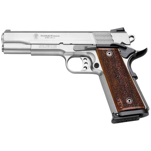 Smith & Wesson 1911 9mm Luger 5in Stainless Pistol - 10+1 Rounds