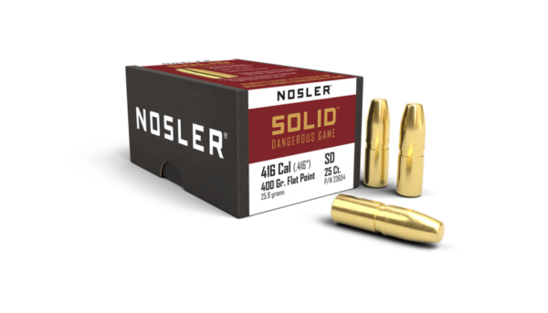 458 CALIBER 500GR SOLID (25CT)