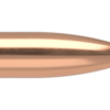 22 CALIBER 60GR CANN BALLISTIC TIP VARMINT (250CT)