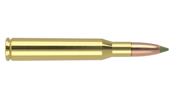 270 WINCHESTER 140GR BALLISTIC TIP HUNTING AMMUNITION