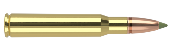 30-06 SPRINGFIELD 168GR EXPANSION TIP AMMUNITION
