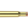 30-06 SPRINGFIELD 180GR EXPANSION TIP AMMUNITION