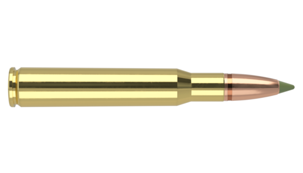 30-06 SPRINGFIELD 180GR EXPANSION TIP AMMUNITION