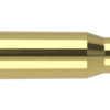 30-06 SPRINGFIELD 165GR BALLISTIC TIP HUNTING AMMUNITION