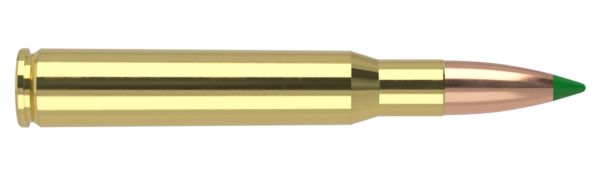 30-06 SPRINGFIELD 165GR BALLISTIC TIP HUNTING AMMUNITION