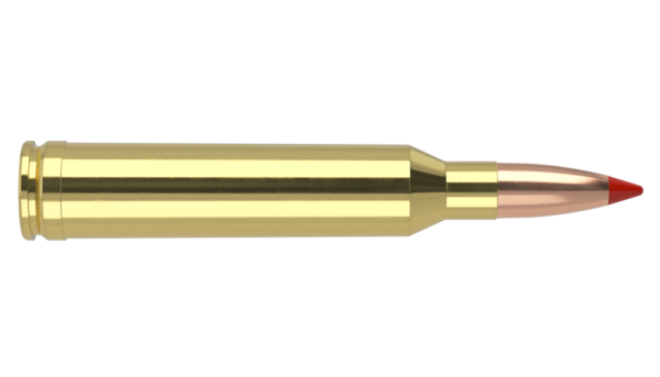 7MM REM MAG 160GR BALLISTIC TIP HUNTING AMMUNITION