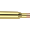 260 REM 120GR BALLISTIC TIP HUNTING AMMUNITION