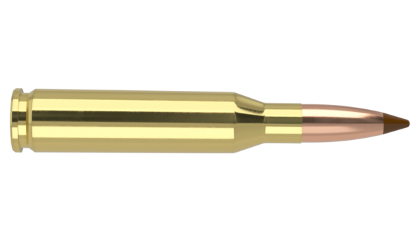 260 REM 120GR BALLISTIC TIP HUNTING AMMUNITION
