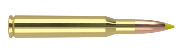 270 WIN 130GR BALLISTIC TIP HUNTING AMMUNITION