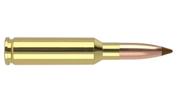 6.5 CREEDMOOR 140GR BALLISTIC TIP HUNTING AMMUNITION