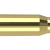 30-06 SPRINGFIELD 125GR BALLISTIC TIP HUNTING AMMUNITION