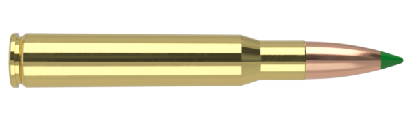 30-06 SPRINGFIELD 125GR BALLISTIC TIP HUNTING AMMUNITION