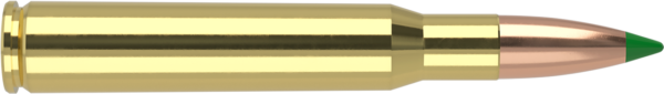 30-06 SPRINGFIELD 180GR BALLISTIC TIP HUNTING AMMUNITION