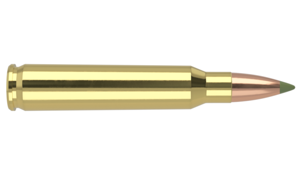 223 REMINGTON 55GR EXPANSION TIP AMMUNITION
