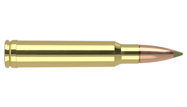 338 WIN MAG 225GR EXPANSION TIP SP AMMUNITION