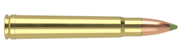 375 H&H 260GR EXPANSION TIP AMMUNITION