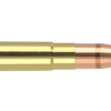 300 AAC BLACKOUT 110GR EXPANSION TIP AMMUNITION