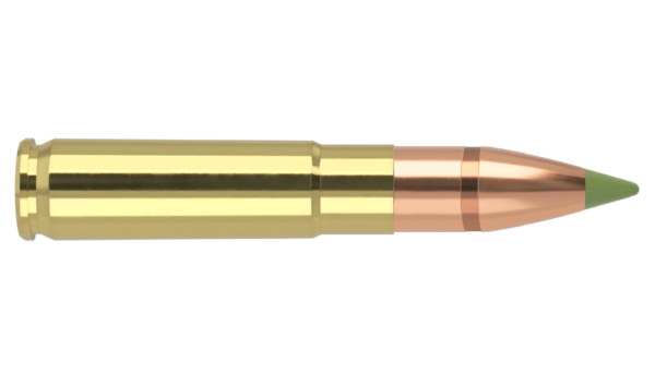 300 AAC BLACKOUT 110GR EXPANSION TIP AMMUNITION