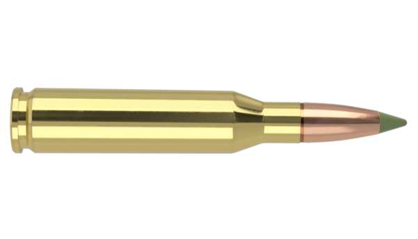 260 REMINGTON 120GR EXPANSION TIP AMMUNITION