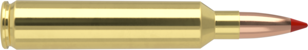 28 NOSLER 160GR BALLISTIC TIP HUNTING AMMUNITION