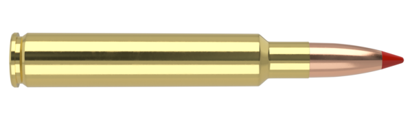 280 ACKLEY IMPROVED 140GR BALLISTIC TIP HUNTING AMMUNITION