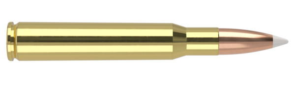 30-06 SPRINGFIELD 180GR ACCUBOND TROPHY GRADE AMMUNITION