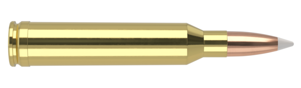 7MM REM MAG 160GR ACCUBOND TROPHY GRADE AMMUNITION