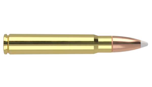 9.3X62 MAUSER 250GR ACCUBOND TROPHY GRADE AMMUNITION