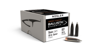 6MM 95GR BALLISTIC SILVERTIP (50CT)
