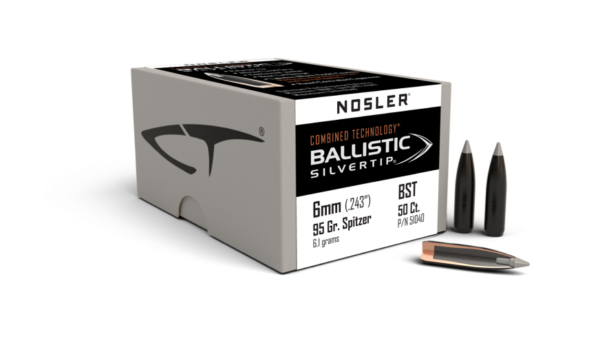 6MM 95GR BALLISTIC SILVERTIP (50CT)