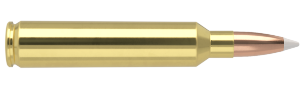 28 NOSLER 160GR ACCUBOND TROPHY GRADE AMMUNITION