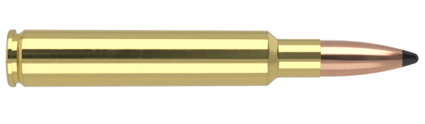 280 ACKLEY IMPROVED 160GR PARTITION TROPHY GRADE AMMUNITION