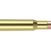 30-06 SPRINGFIELD 165GR ACCUBOND TROPHY GRADE AMMUNITION