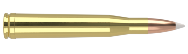 300 H&H MAG 180GR ACCUBOND TROPHY GRADE AMMUNITION