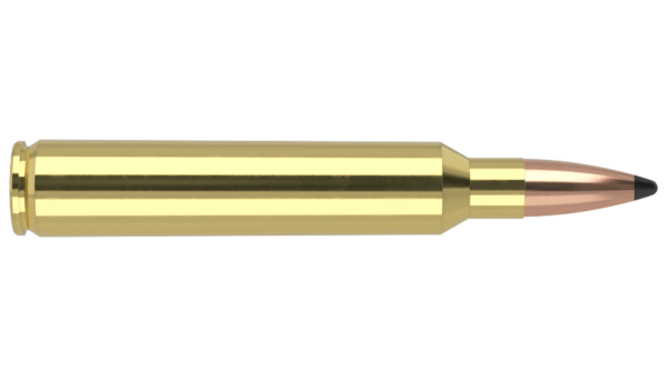 300 RUM 165 PARTITION TROPHY GRADE AMMUNITION