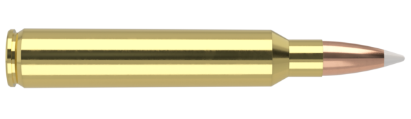 300 RUM 200 ACCUBOND TROPHY GRADE AMMUNITION