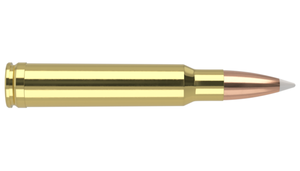 338 WIN MAG 225GR ACCUBOND TROPHY GRADE AMMUNITION