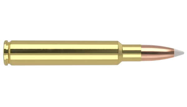 280 ACKLEY IMPROVED 160GR ACCUBOND TROPHY GRADE AMMUNITION