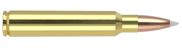 338 RUM 225 ACCUBOND TROPHY GRADE AMMUNITION