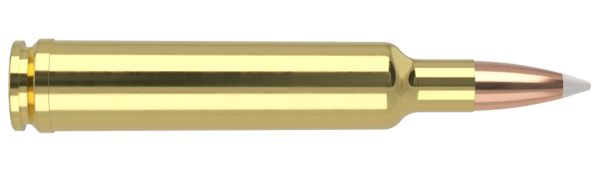 30-378 WEATHERBY MAG 180GR ACCUBOND TROPHY GRADE AMMUNITION