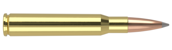 30-06 SPRINGFIELD 168GR ACCUBOND LONG RANGE TROPHY GRADE AMMUNITION
