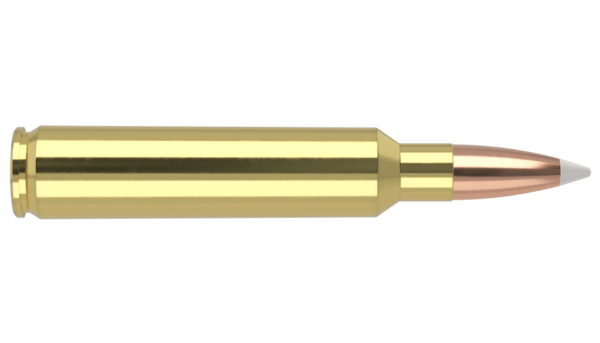 30 NOSLER 180GR EXPANSION TIP AMMUNITION