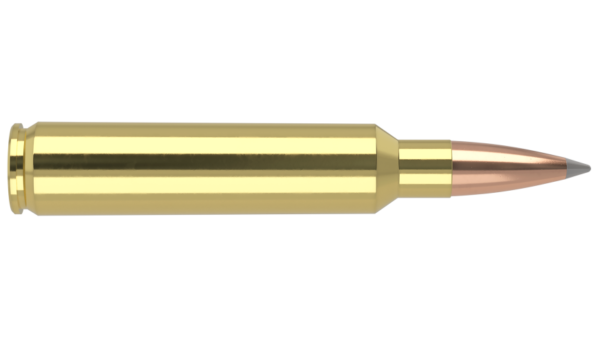 30 NOSLER 210GR ACCUBOND TROPHY GRADE LONG RANGE AMMUNITION