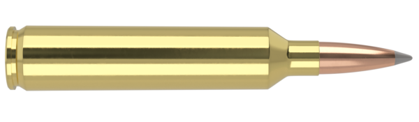 26 NOSLER 142GR ACCUBOND LONG RANGE TROPHY GRADE AMMUNITION