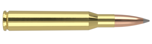 270 WIN 150GR ACCUBOND LONG RANGE TROPHY GRADE AMMUNITION