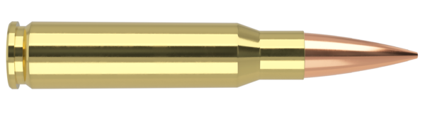 308 WIN 175GR RDF MATCH GRADE AMMUNITION