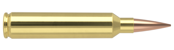 28 NOSLER 185GR RDF MATCH GRADE AMMUNITION