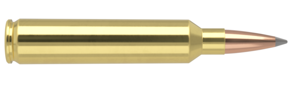28 NOSLER 175GR ACCUBOND LONG RANGE TROPHY GRADE AMMUNITION