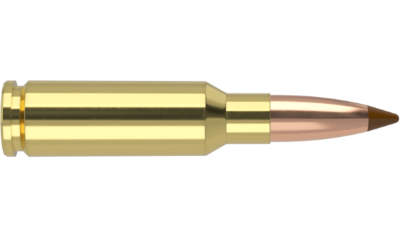 6.5 GRENDEL 120GR BALLISTIC TIP HUNTING AMMUNITION